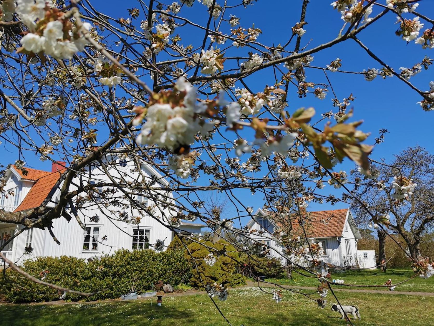 Villa Bond-Gården Fågelmara Exterior foto
